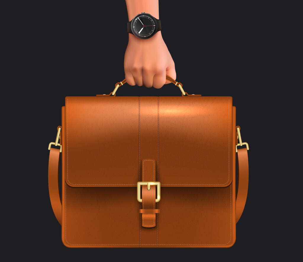 Laptop Bags for women